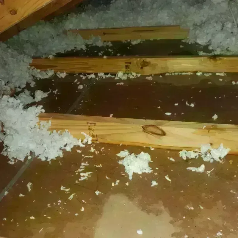 Attic Water Damage in Mount Airy, NC