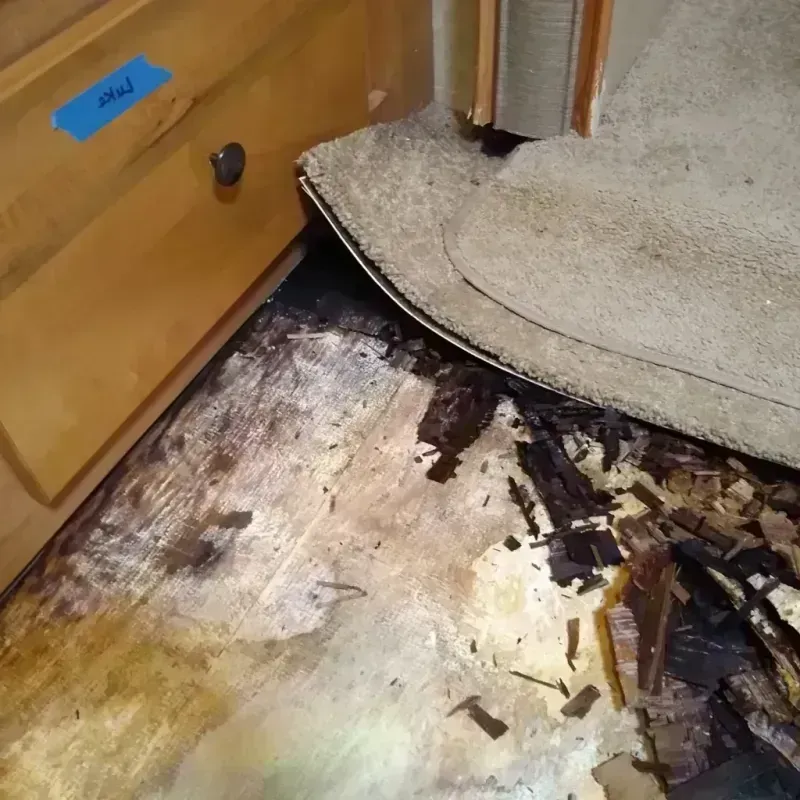 Best Wood Floor Water Damage Service in Mount Airy, NC